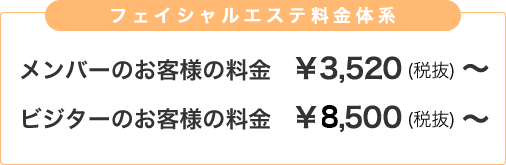 CPサロンアンヘル　フェイシャルエステ料金